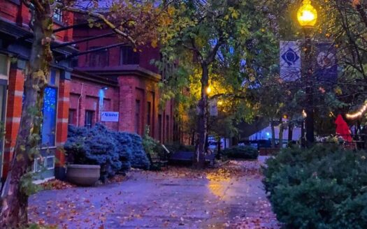 realtors in albany ny