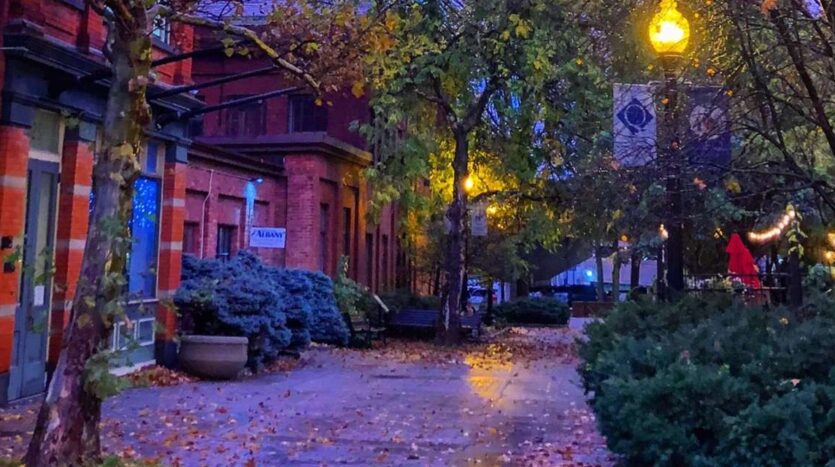 realtors in albany ny